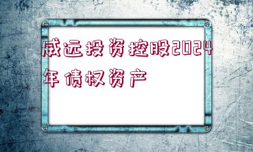 威遠投資控股2024年債權資產(chǎn)