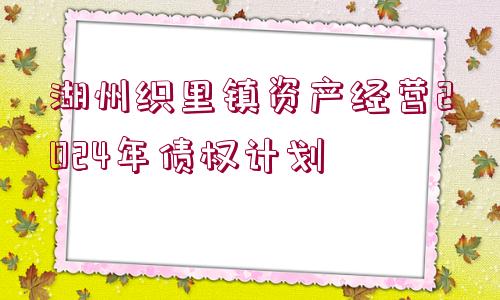 湖州織里鎮(zhèn)資產(chǎn)經(jīng)營2024年債權(quán)計劃