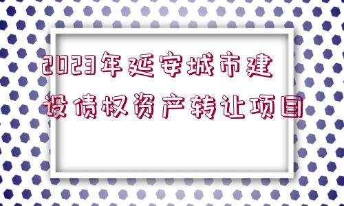 2023年延安城市建設債權資產(chǎn)轉(zhuǎn)讓項目