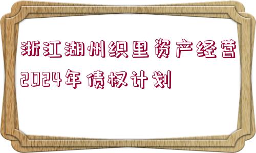 浙江湖州織里資產(chǎn)經(jīng)營2024年債權(quán)計劃