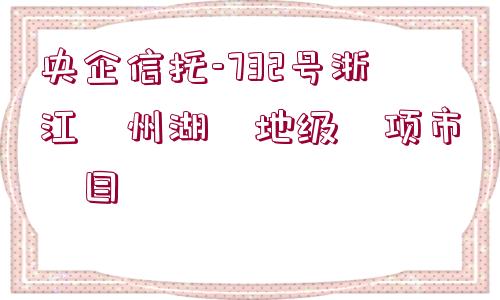 央企信托-732號浙江?州湖?地級?項市?目