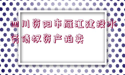 四川資陽市雁江建投水務債權資產拍賣