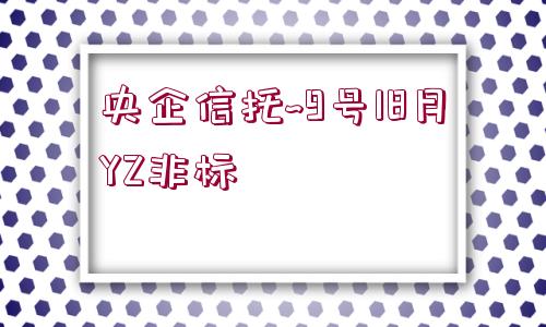 央企信托~9號18月YZ非標