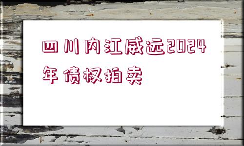 四川內(nèi)江威遠2024年債權(quán)拍賣