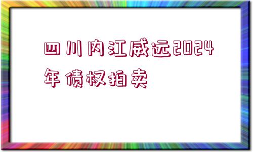 四川內(nèi)江威遠(yuǎn)2024年債權(quán)拍賣