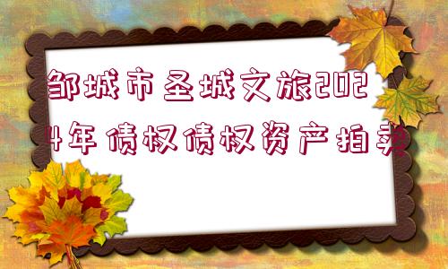 鄒城市圣城文旅2024年債權(quán)債權(quán)資產(chǎn)拍賣