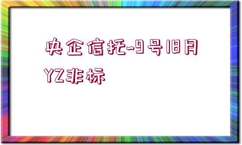 央企信托~9號18月YZ非標(biāo)