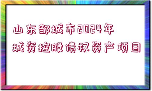 山東鄒城市2024年城資控股債權(quán)資產(chǎn)項目