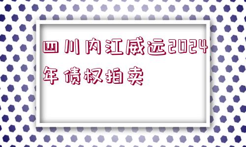 四川內(nèi)江威遠(yuǎn)2024年債權(quán)拍賣