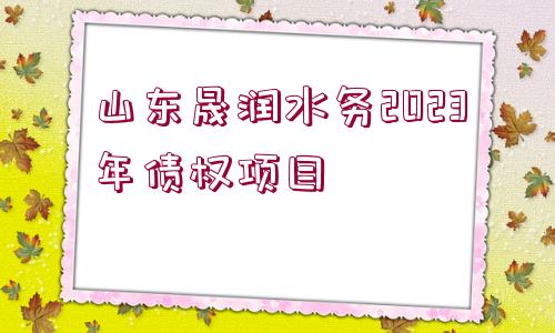 山東晟潤(rùn)水務(wù)2023年債權(quán)項(xiàng)目