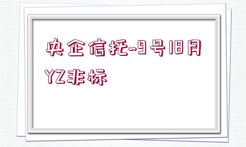 央企信托~9號18月YZ非標(biāo)