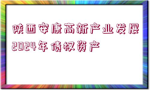 陜西安康高新產(chǎn)業(yè)發(fā)展2024年債權(quán)資產(chǎn)