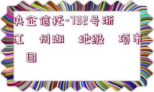 央企信托-732號浙江?州湖?地級?項市?目