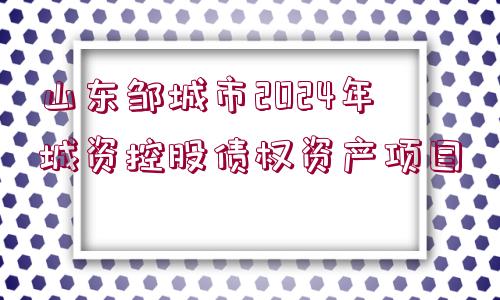 山東鄒城市2024年城資控股債權資產項目