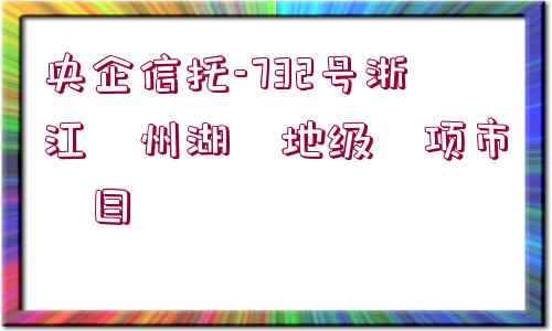 央企信托-732號浙江?州湖?地級?項市?目