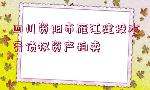 四川資陽市雁江建投水務(wù)債權(quán)資產(chǎn)拍賣