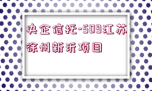 央企信托-509江蘇徐州新沂項目