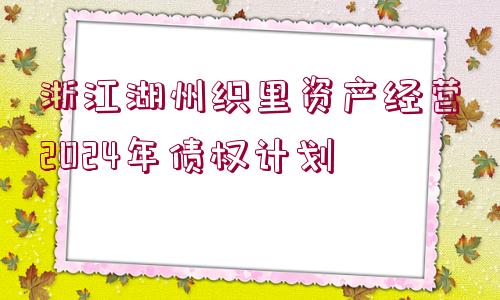 浙江湖州織里資產(chǎn)經(jīng)營(yíng)2024年債權(quán)計(jì)劃
