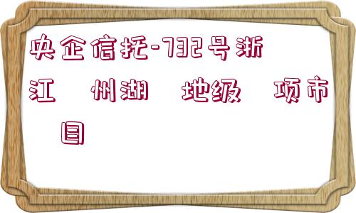 央企信托-732號浙江?州湖?地級?項市?目