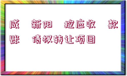 咸?新陽?控應(yīng)收?款賬?債權(quán)轉(zhuǎn)讓項目