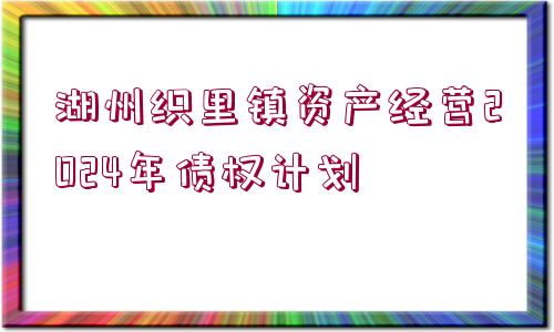 湖州織里鎮(zhèn)資產(chǎn)經(jīng)營2024年債權計劃