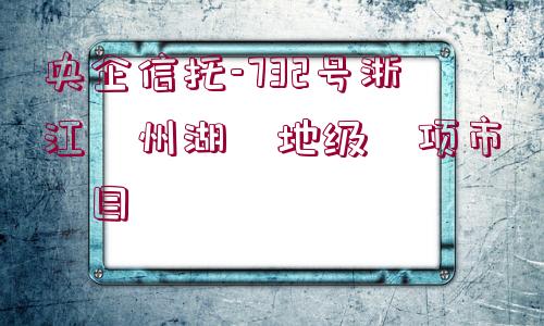 央企信托-732號浙江?州湖?地級?項市?目