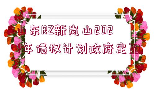 山東RZ新嵐山2024年債權計劃政府定融