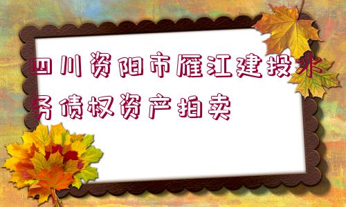 四川資陽市雁江建投水務債權資產拍賣