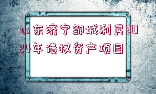 山東濟(jì)寧鄒城利民2024年債權(quán)資產(chǎn)項(xiàng)目