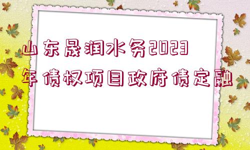 山東晟潤水務(wù)2023年債權(quán)項目政府債定融