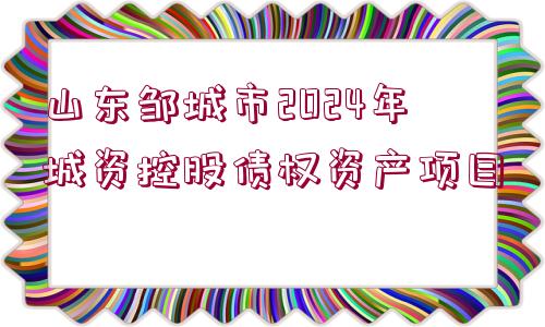 山東鄒城市2024年城資控股債權(quán)資產(chǎn)項目