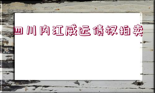 四川內江威遠債權拍賣 