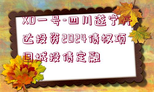 XD一號-四川遂寧開達(dá)投資2024債權(quán)項目城投債定融