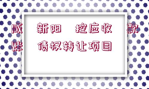 咸?新陽?控應(yīng)收?款賬?債權(quán)轉(zhuǎn)讓項目