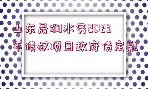 山東晟潤(rùn)水務(wù)2023年債權(quán)項(xiàng)目政府債定融