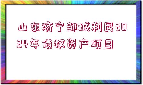 山東濟(jì)寧鄒城利民2024年債權(quán)資產(chǎn)項目