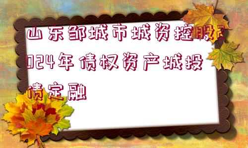 山東鄒城市城資控股2024年債權資產(chǎn)城投債定融