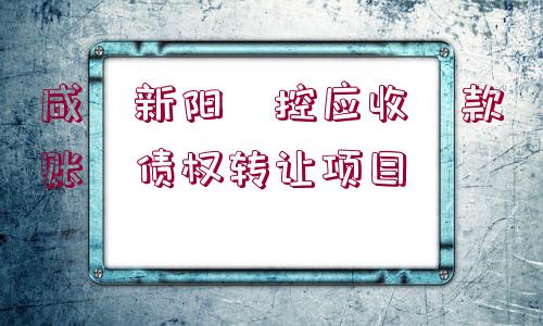 咸?新陽?控應(yīng)收?款賬?債權(quán)轉(zhuǎn)讓項(xiàng)目