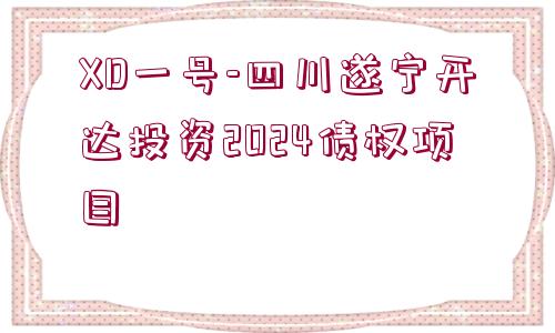 XD一號-四川遂寧開達投資2024債權(quán)項目