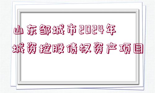 山東鄒城市2024年城資控股債權(quán)資產(chǎn)項目