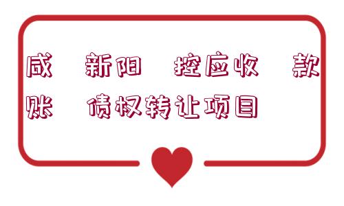 咸?新陽(yáng)?控應(yīng)收?款賬?債權(quán)轉(zhuǎn)讓項(xiàng)目