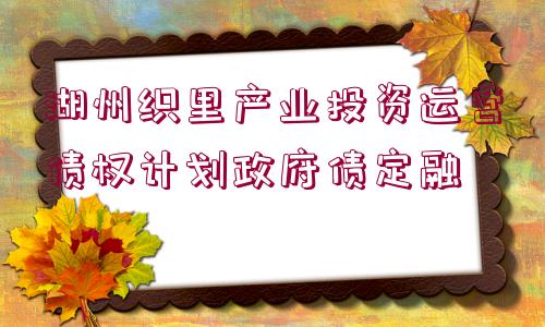 湖州織里產(chǎn)業(yè)投資運(yùn)營債權(quán)計(jì)劃政府債定融