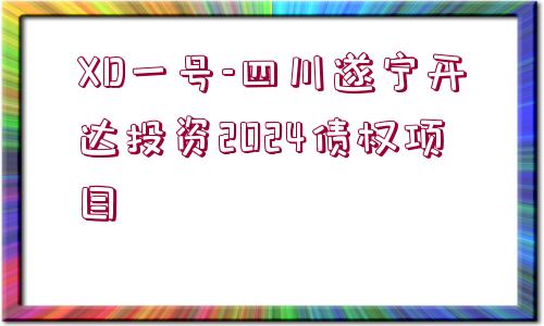 XD一號(hào)-四川遂寧開(kāi)達(dá)投資2024債權(quán)項(xiàng)目