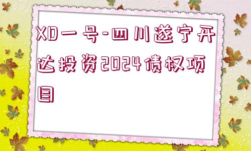 XD一號(hào)-四川遂寧開(kāi)達(dá)投資2024債權(quán)項(xiàng)目