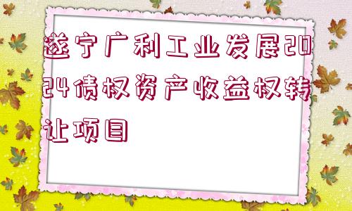 遂寧廣利工業(yè)發(fā)展2024債權(quán)資產(chǎn)收益權(quán)轉(zhuǎn)讓項(xiàng)目