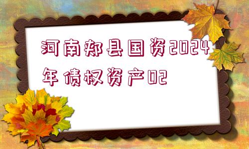 河南郟縣國(guó)資2024年債權(quán)資產(chǎn)02