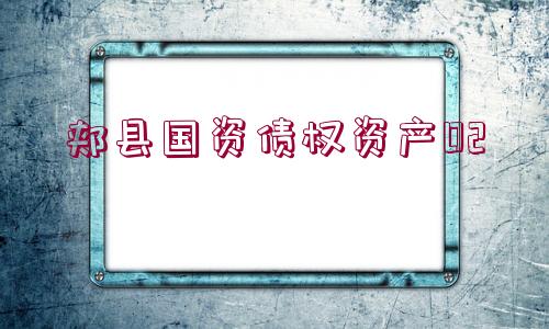 郟縣國(guó)資債權(quán)資產(chǎn)02