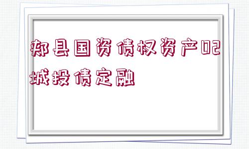 郟縣國(guó)資債權(quán)資產(chǎn)02城投債定融