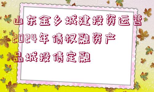 山東金鄉(xiāng)城建投資運(yùn)營2024年債權(quán)融資產(chǎn)品城投債定融