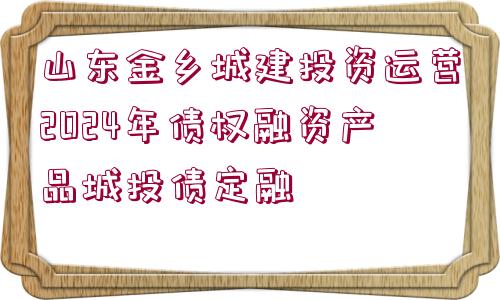 山東金鄉(xiāng)城建投資運(yùn)營2024年債權(quán)融資產(chǎn)品城投債定融